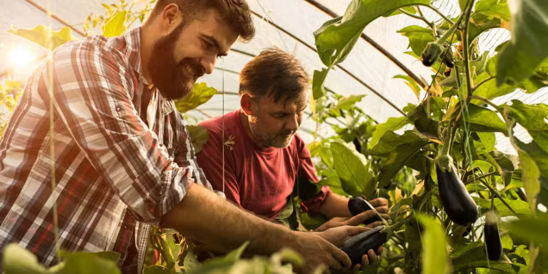 Crédito rural pode ser destinado a pequenos e médios agricultores, associações e cooperativas — Foto: Getty Images