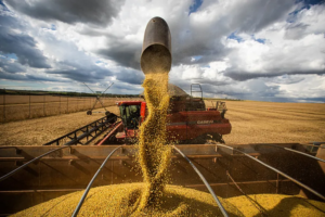 Em tempos de extremos climáticos que afetam a produção, área segurada no país caiu quase 53 desde 2020 Foto Wenderson AraujoCNA