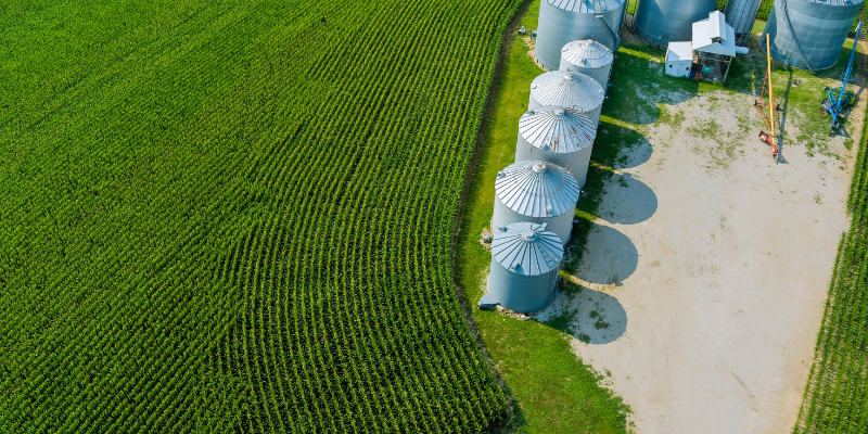 Líderes do agronegócio conheça as 5 maiores empresas do setor no Brasil