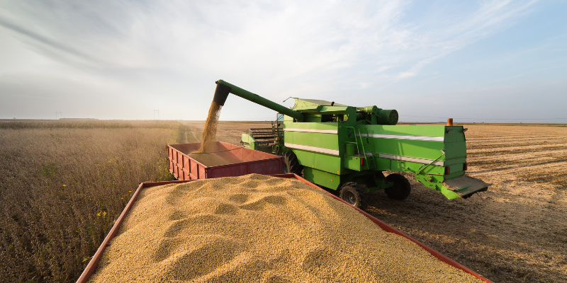 Tecnologia e clima dão vantagem competitiva ao agronegócio brasileiro sobre países europeus