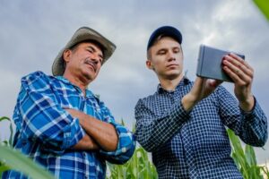 Two farmers stand in corn field, discuss harvest, crops.