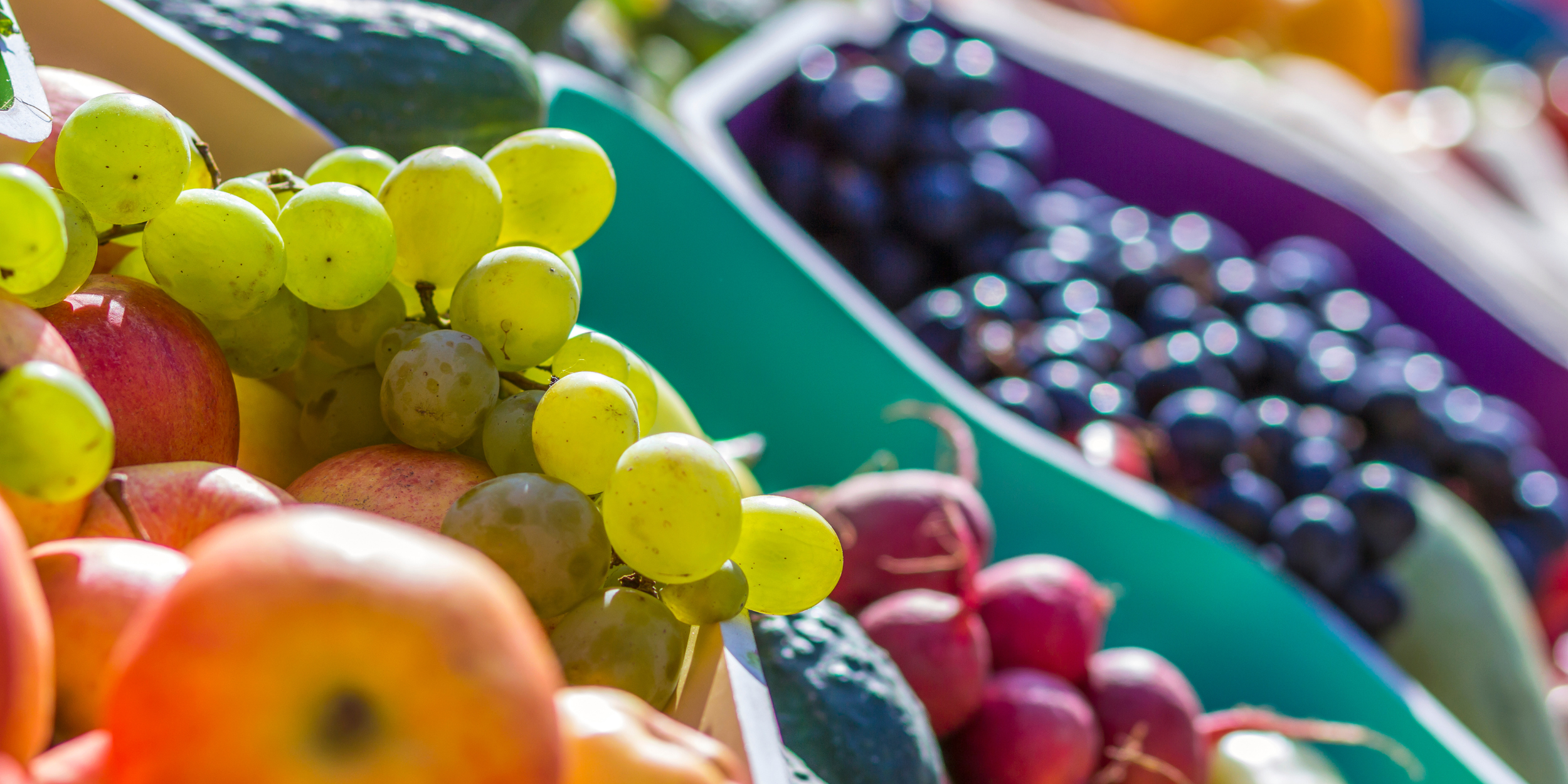 A potencialidade da fruticultura brasileira conquistas e perspectivas