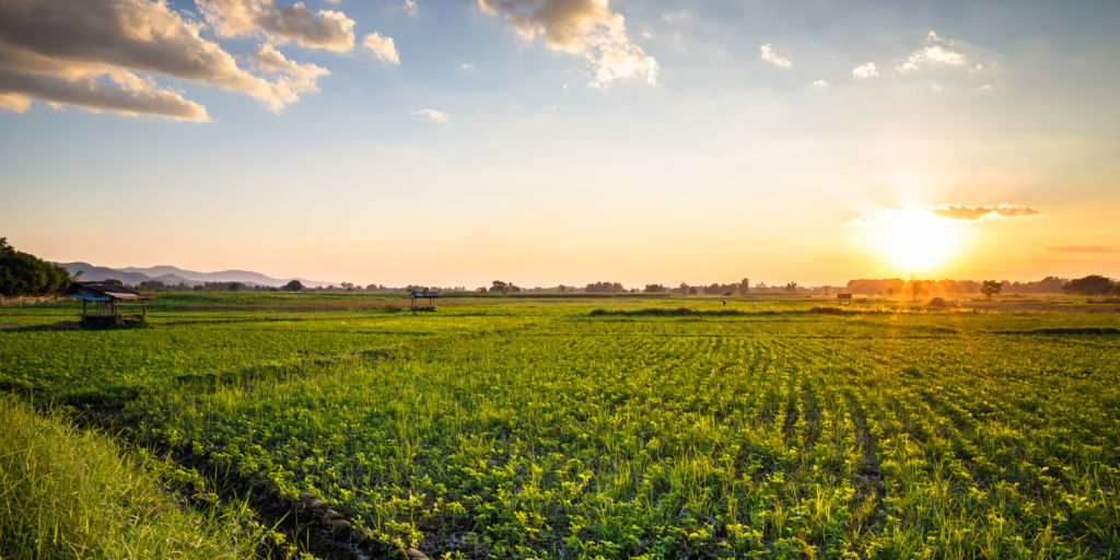 Os 3 principais desafios logísticos para o setor do agronegócio em 2024