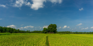 Novo sistema vai aumentar a competitividade do setor agropecuário, afirma Appy