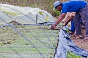 Noticia-Globo-Rural-demandas do Desenvolvimento AgrárioNoticia-Globo-Rural-demandas do Desenvolvimento Agrário