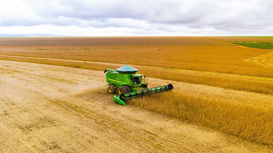 area-de-soja-noticia-globo-rural