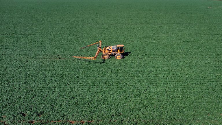 nova lei autoriza uso do cadastro ambiental noticia camara