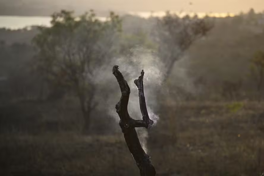 Seca e fogo preocupam produtores brasileiros noticia globo rural