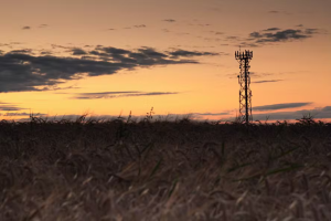 Acesso à internet aumenta e chega a quase 44% dos imóveis rurais no Brasil noticia globo rural