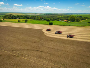 Seguro Penhor Rural ajuda no acesso ao crédito agrícola no Brasil noticia globo rural