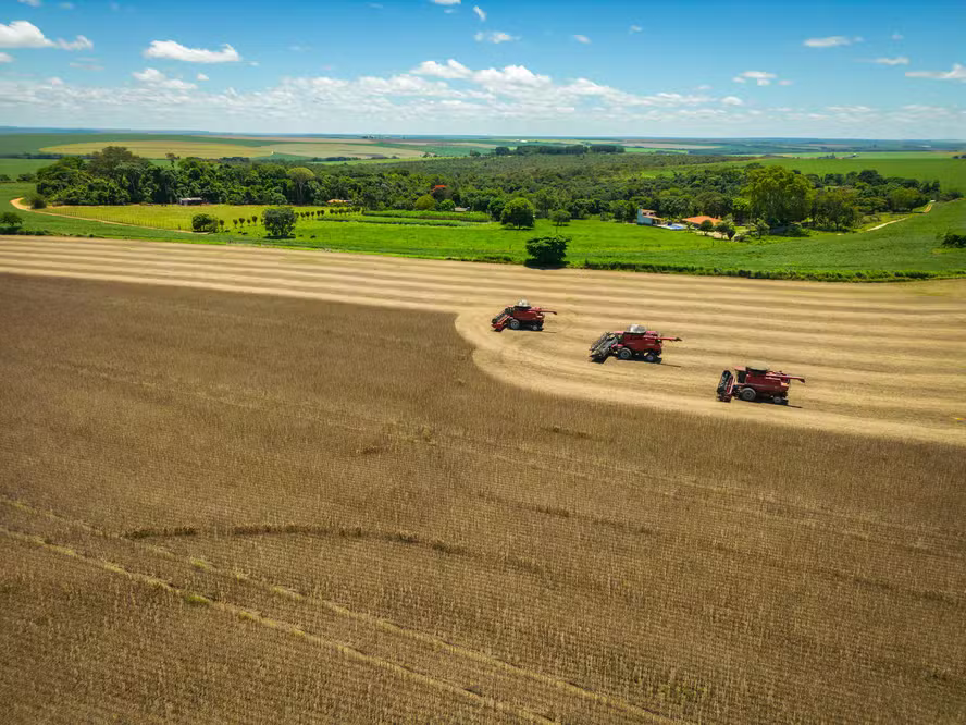 Seguro Penhor Rural ajuda no acesso ao crédito agrícola no Brasil noticia globo rural