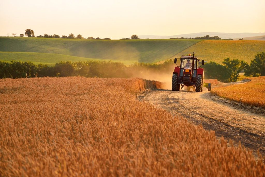 Simples Nacional empresas do agro representam apenas 2,2% do total, mostra estudo noticia canal rural