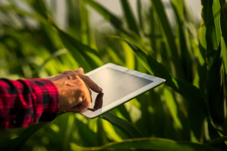 Tecnologia no agronegócio aumenta produtividade noticia opresenterural