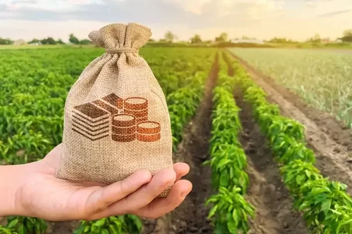 Títulos do agronegócio atingem marca de R$ 1 trilhão em agosto; veja os destaques noticia einvestidor