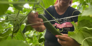 Cooperativismo tem muita adesão no agronegócio noticia g1 globo