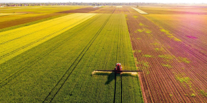 Diário do Nordeste lança evento sobre energias renováveis e agronegócio no Ceará noticia diario do nordeste