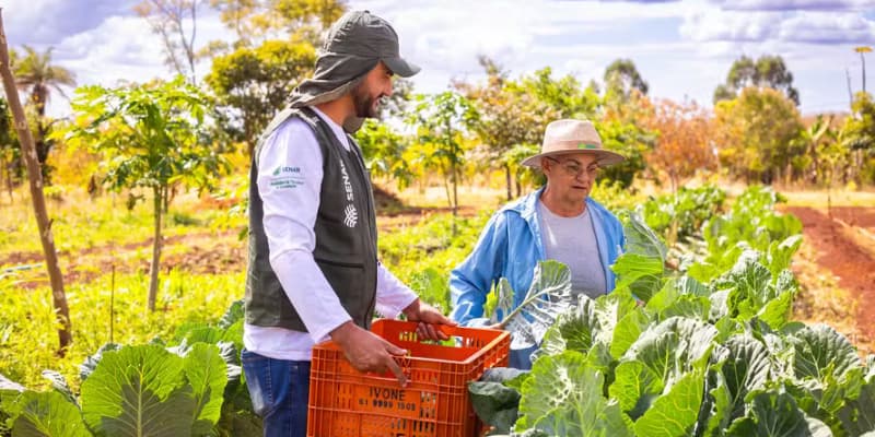 Governo autoriza empréstimo de R$ 500 milhões à agricultura familiar noticia globo rural