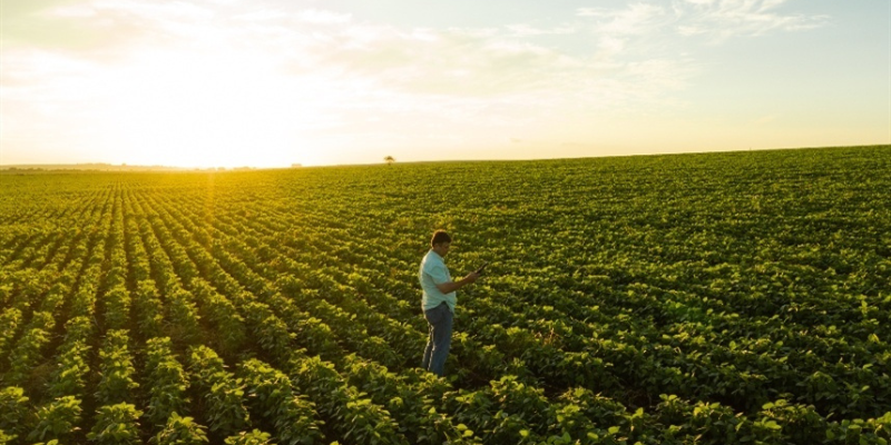 Governo firma pacto nacional sobre trabalho no meio rural agrolink noticia