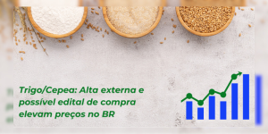 Trigo Cepea Alta externa e possível edital de compra elevam preços no br noticias agricolas