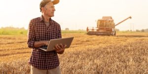 Conheça os cargos que vão movimentar o mercado de trabalho do agronegócio em 2025 noticia comprerural