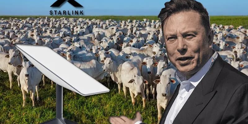 Elon Musk derruba preço da Starlink e lança internet para celular ‘do produtor rural’ noticia compre rural