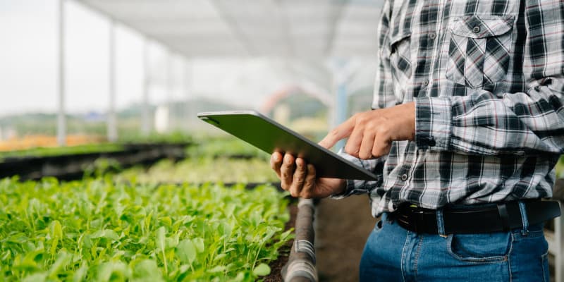 Guia técnico do agronegócio sugere informações mínimas para análise do produtor rural noticia anbima