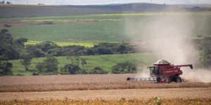 Senado aprova condição de segurado especial para membros de cooperativas ligadas ao campo noticia globo rural