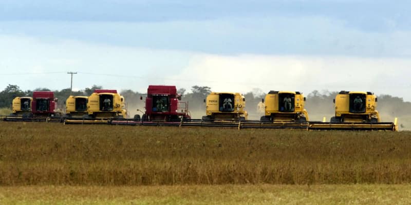 Volta das chuvas cria expectativa positiva para o agronegócio em 2025, diz analista noticia info money